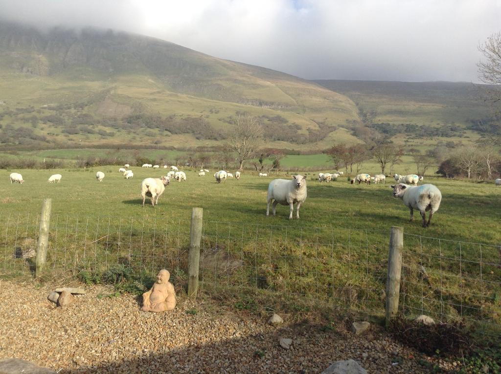 Benbulben Farmhouse B&B Drumcliff Exteriör bild