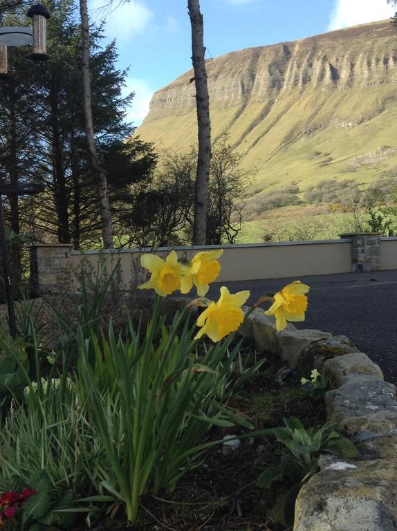Benbulben Farmhouse B&B Drumcliff Exteriör bild